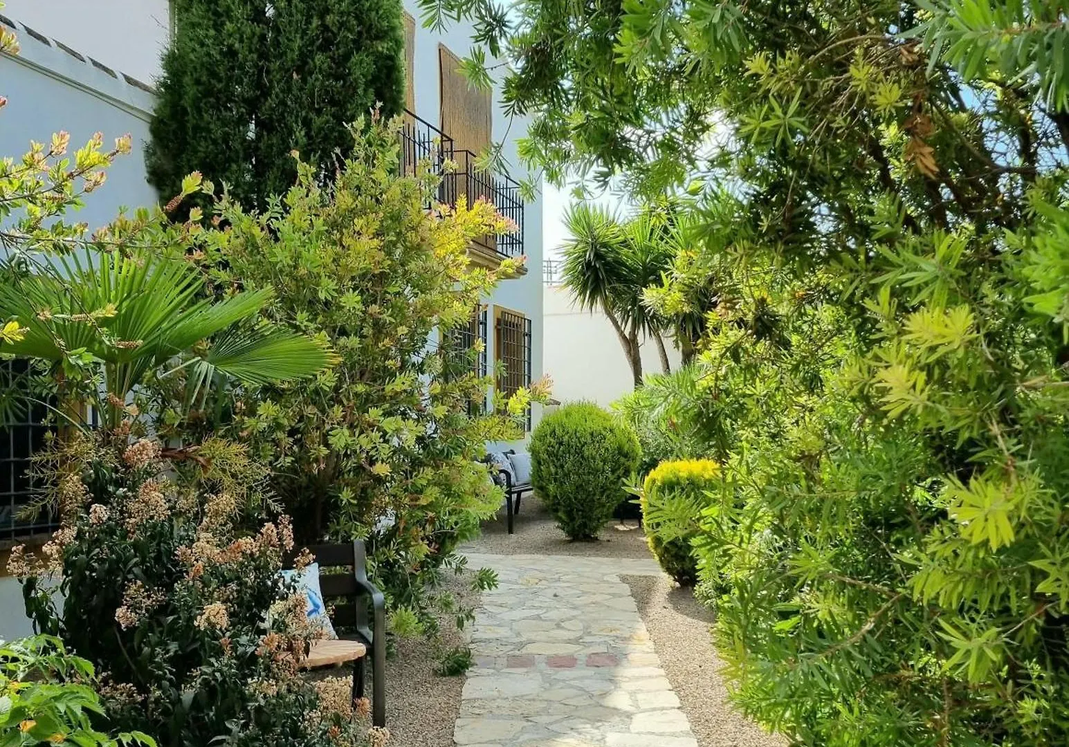 Сasa de vacaciones Desconexión entre olivos centenarios Villa Vélez Blanco