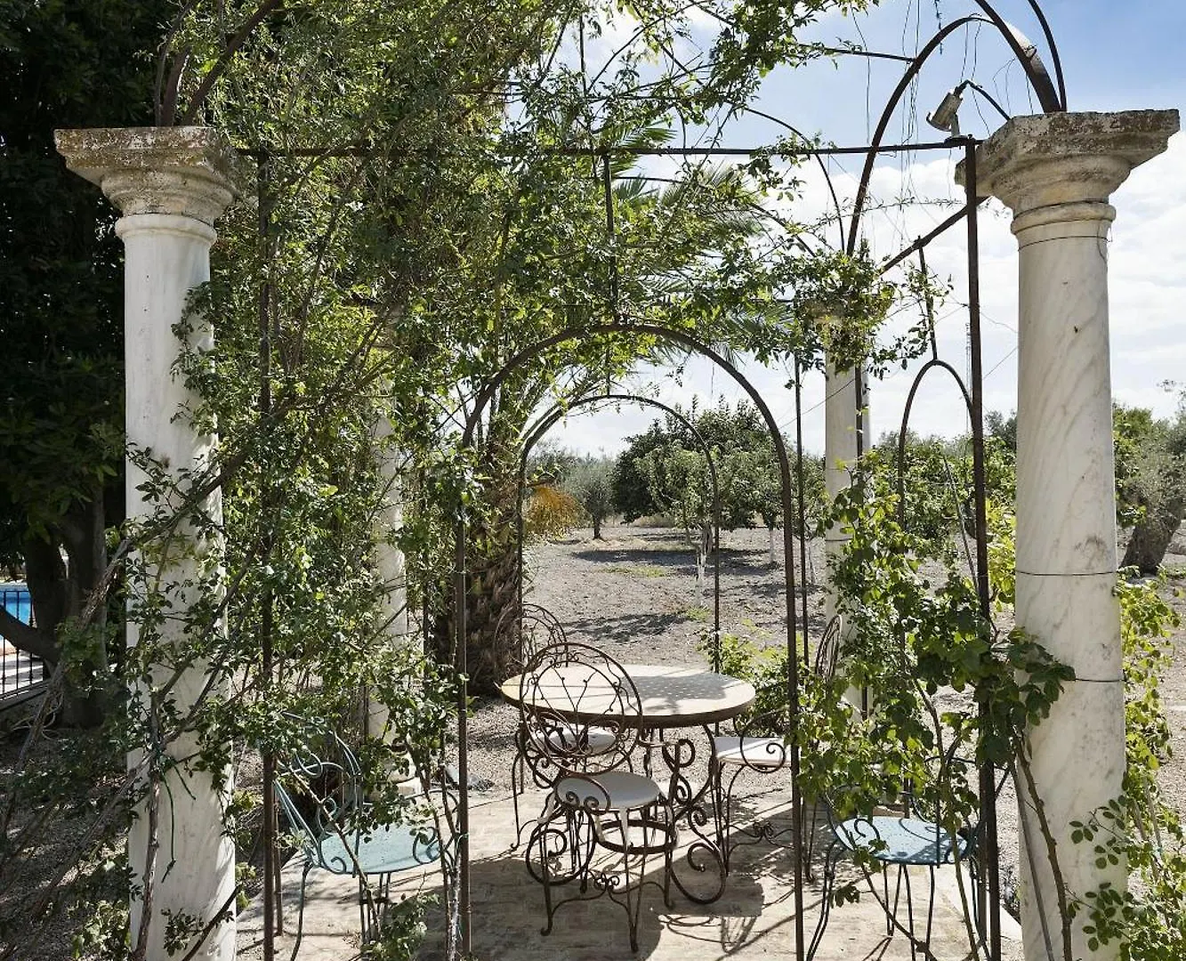Desconexión entre olivos centenarios Villa Vélez Blanco España