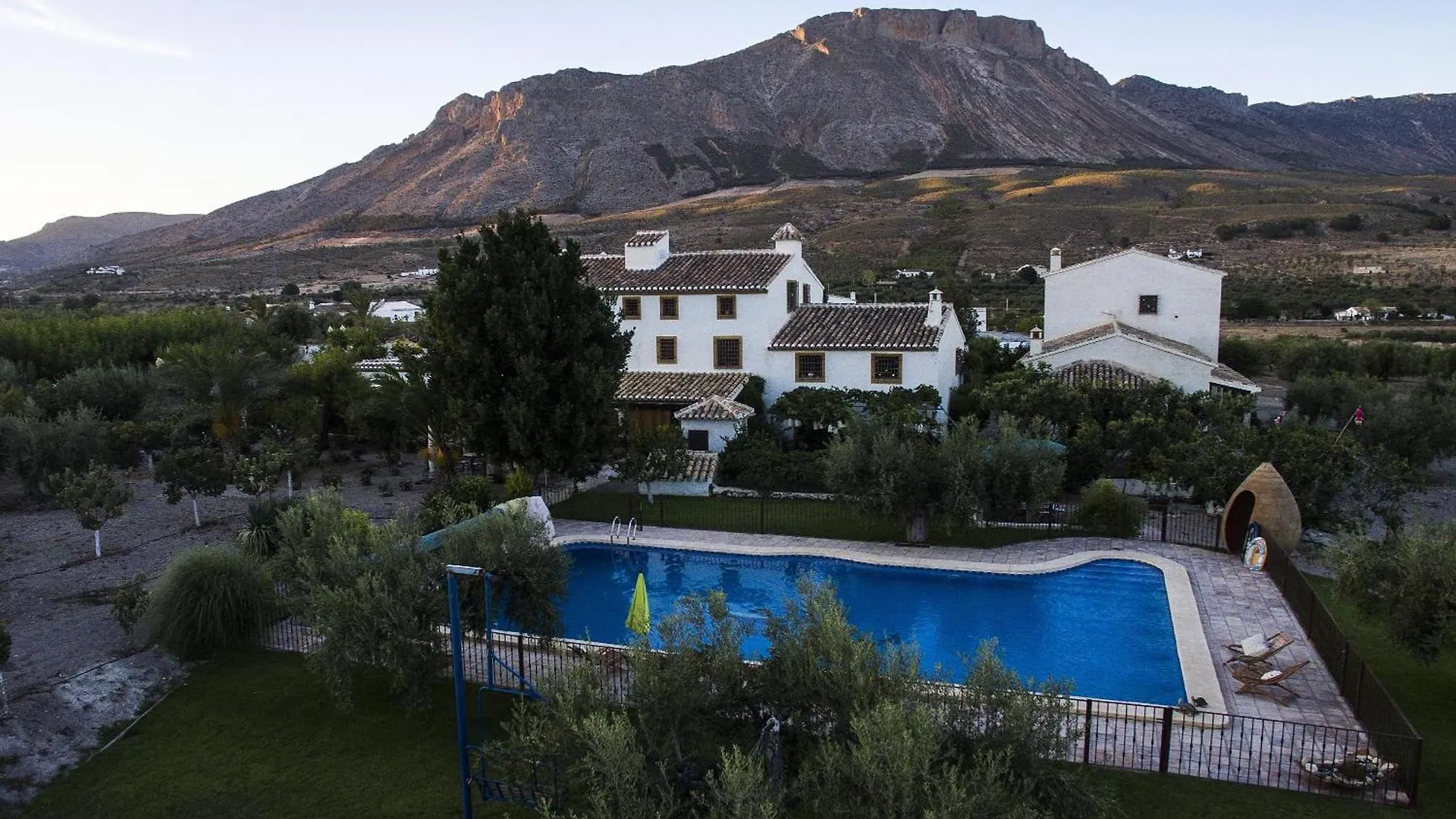 Desconexion Entre Olivos Centenarios Villa Velez Blanco Spain