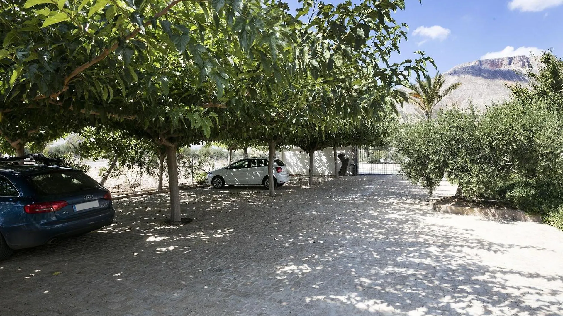 Desconexion Entre Olivos Centenarios Villa Velez Blanco Holiday home