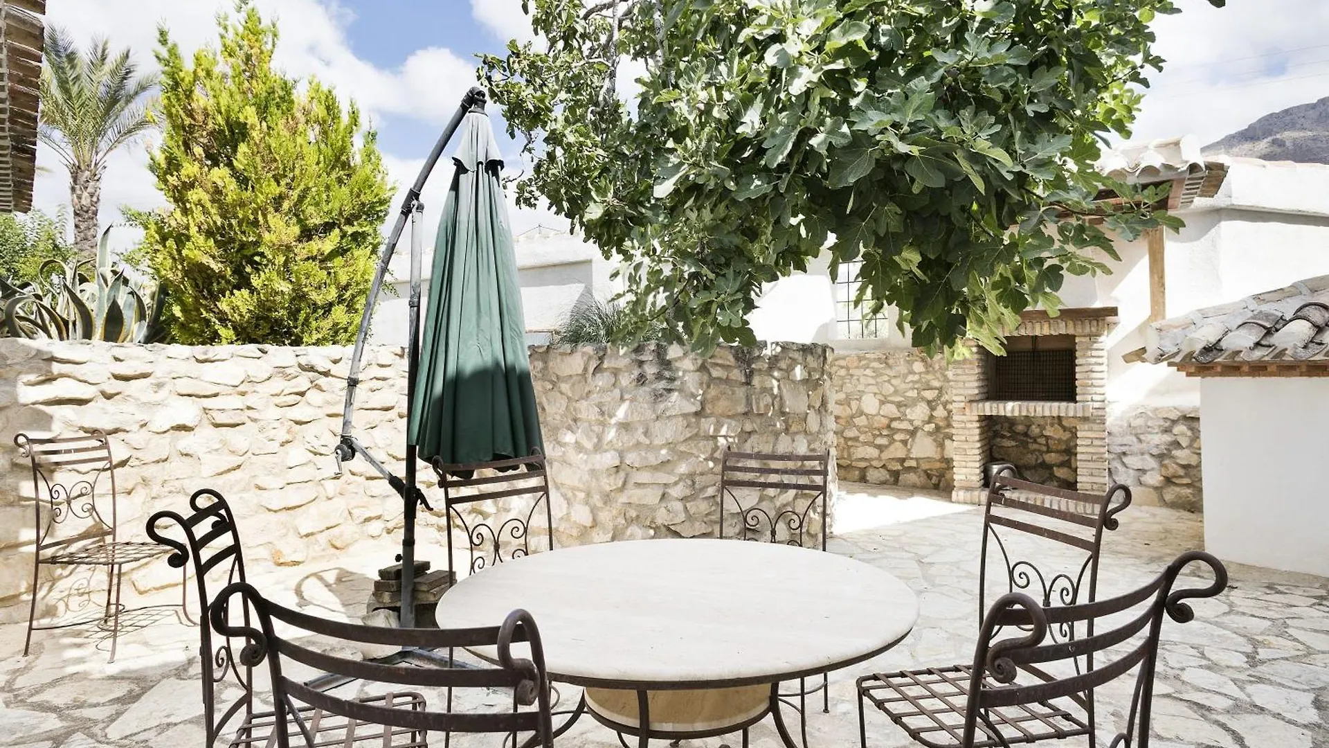 Desconexion Entre Olivos Centenarios Villa Velez Blanco Spain